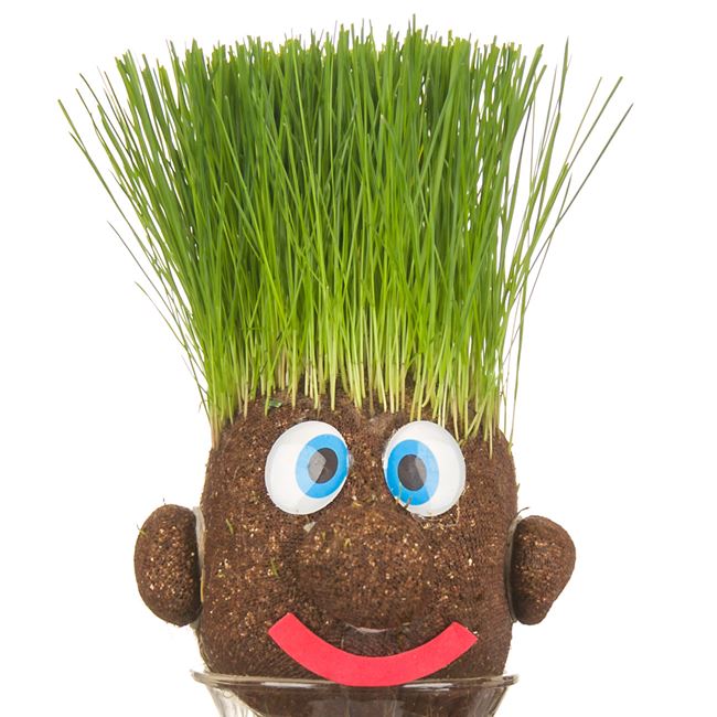 Papusa Domnul Cap de iarba, Grass Head - Auros