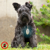 Dispozitiv cu ultrasunete pentru combaterea căpușelor, puricilor și țânțarilor la animalele de companie: Soluția eficientă și non-toxică