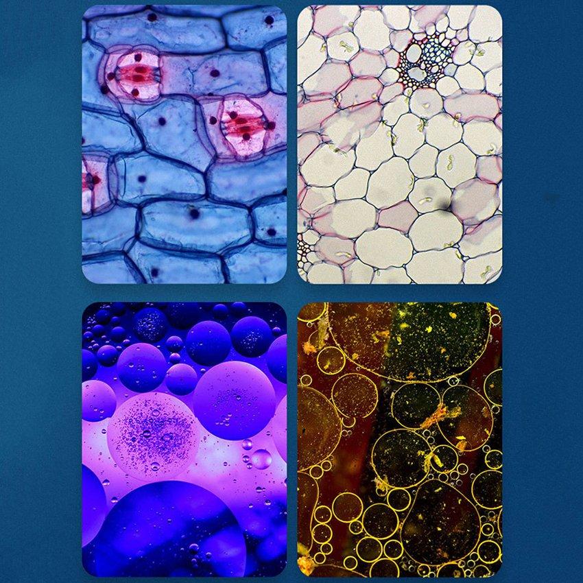 Microscop portabil pentru scoala, HD - Auros