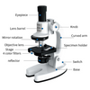 Microscop portabil pentru scoala, HD - Auros