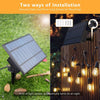 Ghirlanda solara cu 10 becuri Led Filament incluse, 2W, 3000K, IP65 lumina calda - Auros