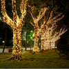 Instalatie de Craciun liniara, pentru exterior, 500 led-uri, 50m, diverse culori, IP44 - Auros