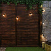 Ghirlanda luminoasa pentru gradina 10m, lumina calda (3000 K), protectie IP44, LED