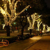 Instalatie de Craciun liniara, pentru exterior, 500 led-uri, 50m, diverse culori, IP44 - Auros
